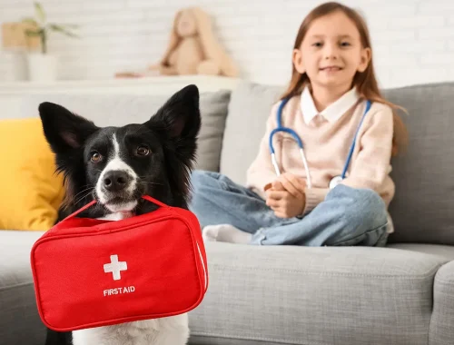 KVN-Hamburg - Ambulante medizinische Versorgung - medizinische Hilfsmittel